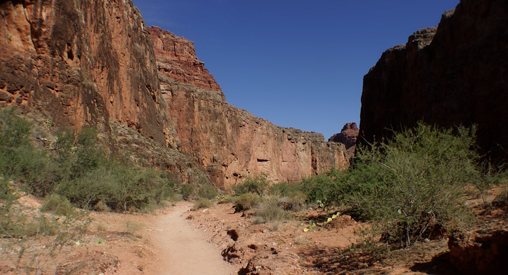 Grand Canyon011