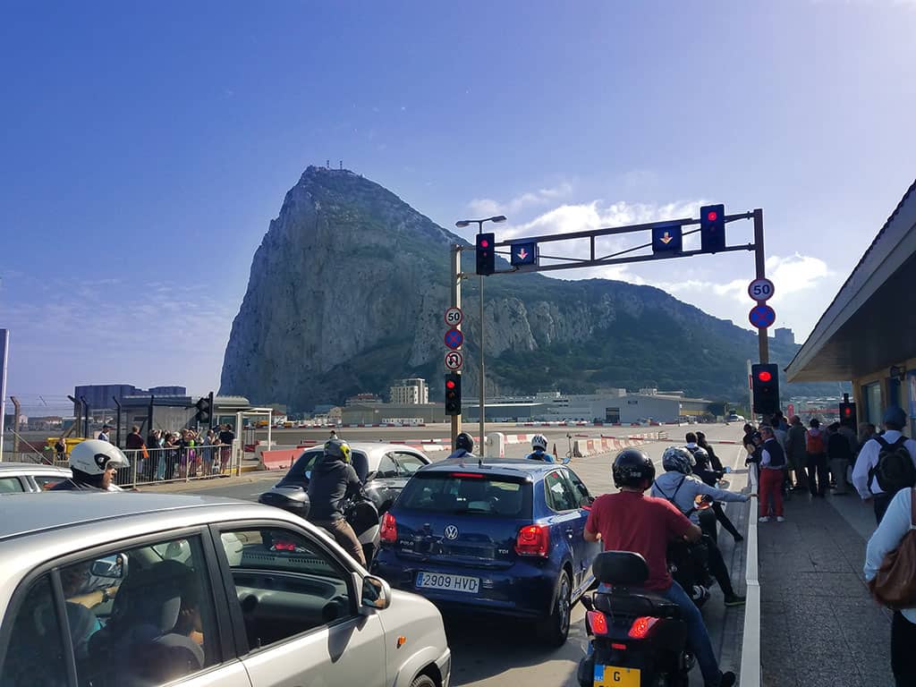 Monkeys Of Gibraltar