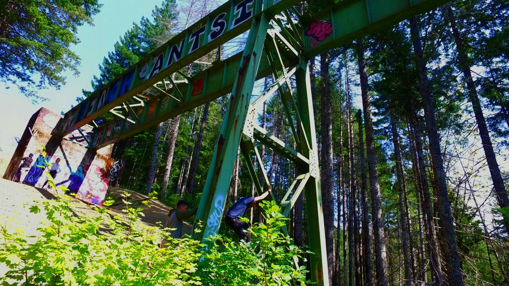 Vance Creek Bridge