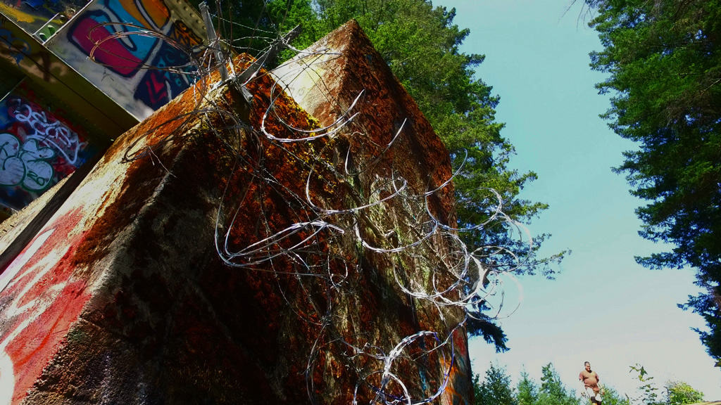 Vance Creek Bridge