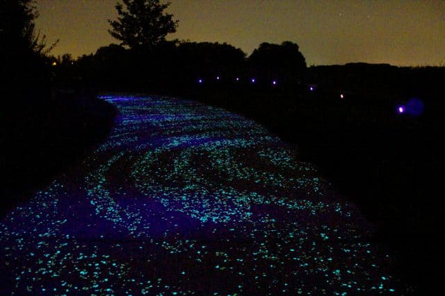 Read more about the article <span style="color: #003366;">A STARRY NIGHT ON VAN GOGH BICYCLE PATH