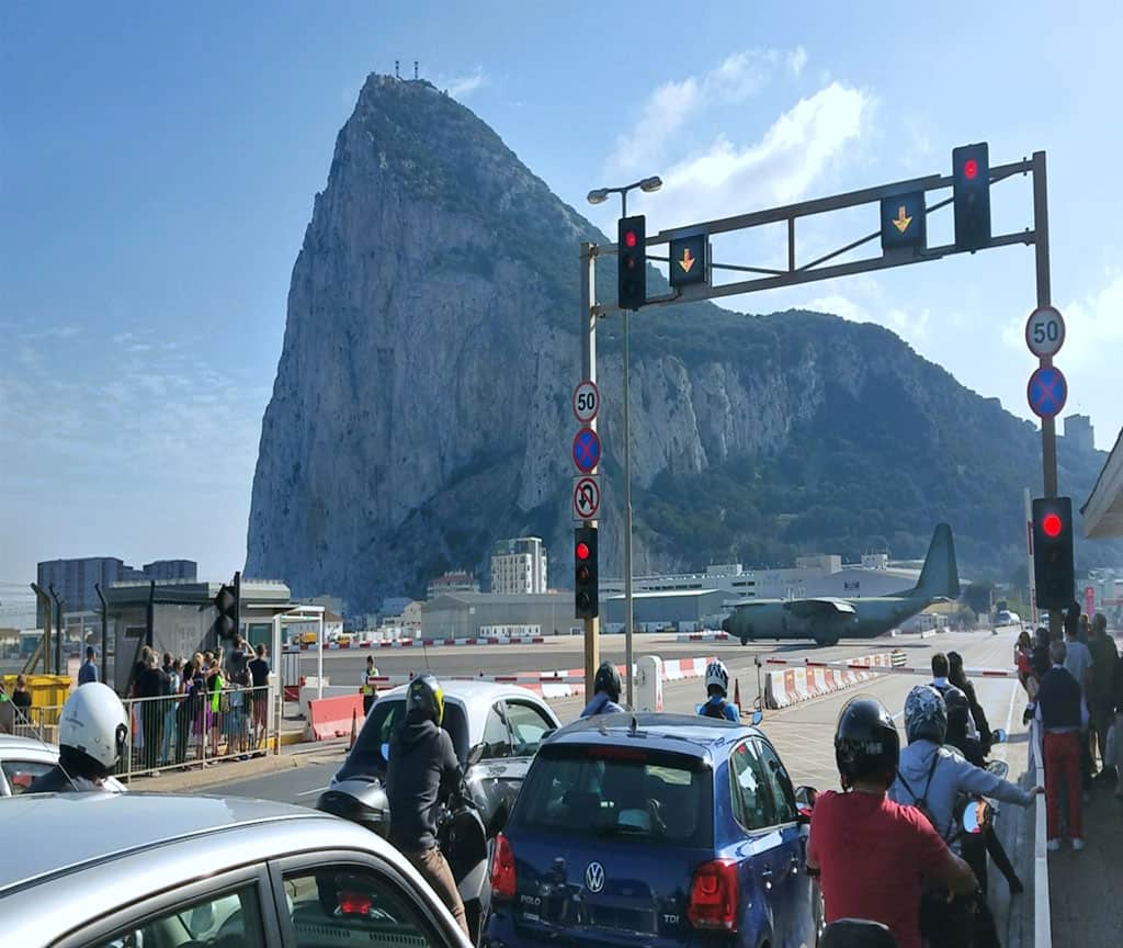 Monkeys Of Gibraltar