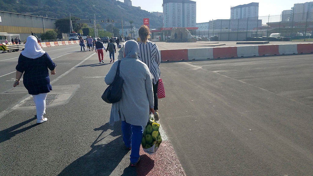 Monkeys Of Gibraltar