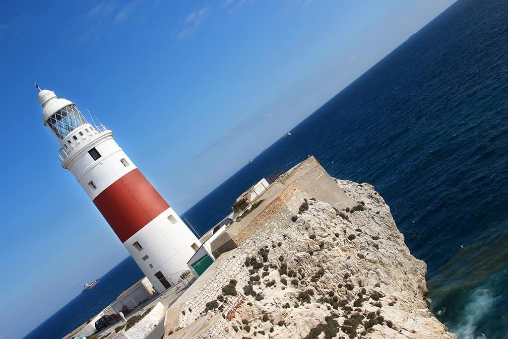 Monkeys Of Gibraltar